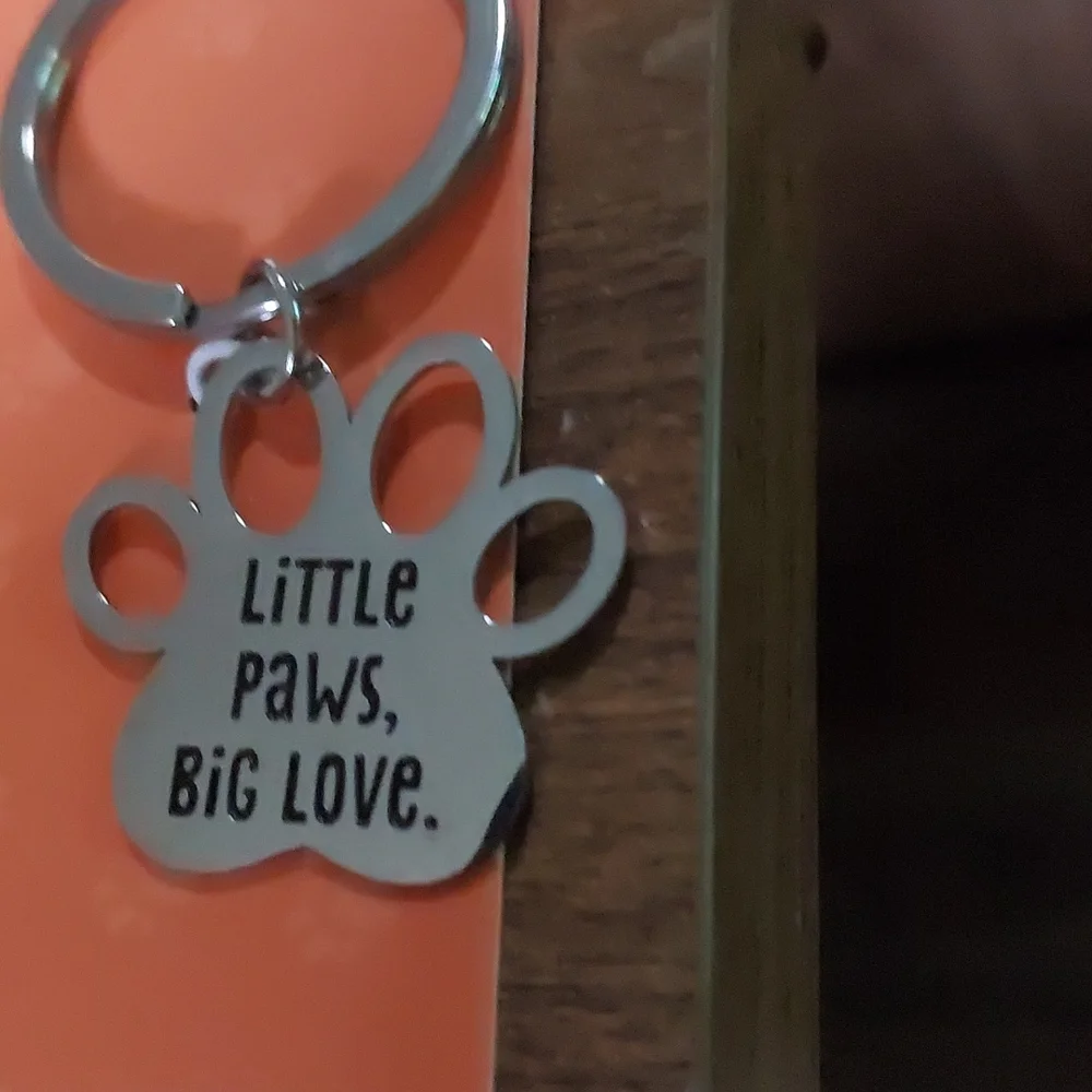Hallmark Stainless Steel Pet Tag/Human Keyring Besties